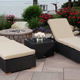 Salina lounge chair set 2 - Sunbrella Spectrum Mushroom