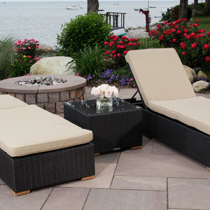 Salina lounge chair set 2 - Sunbrella Spectrum Mushroom