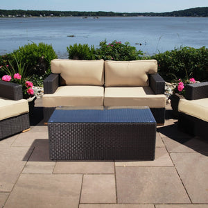 Salina Loveseat & Club Chair Set 2 - Sunbrella Spectrum Mushroom