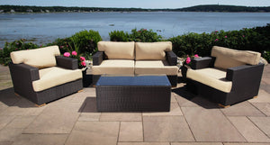 Salina Loveseat & Club Chair Set 2 - Sunbrella Spectrum Mushroom